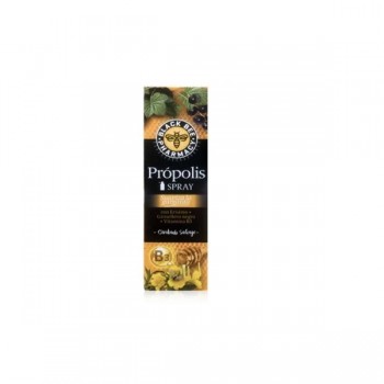 Spray Própolis Black Bee 20 ml