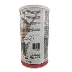 VNSUP Protect Advance 450 gramos sabor fresa 2