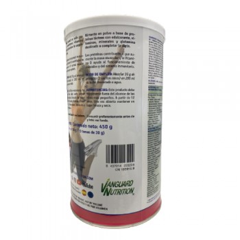 VNSUP Protect Advance 450 gramos sabor fresa